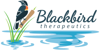 Blackbird Therapeutics
