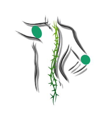 Clinique MTL Chiro