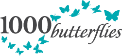 1000 Butterflies