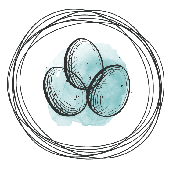 Nested Heart Counselling